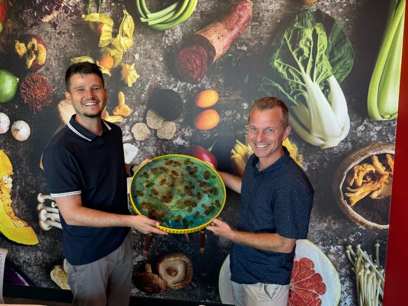 Vera Veldman relatiegeschenk Mitrofresh, bijzettafel in huisstijlkleuren en logo